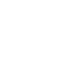 Icons8 Whatsapp 100